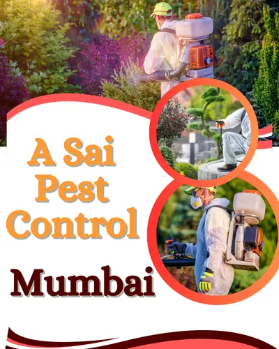 A Sai Pest Control in Mumbai