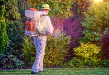 A Sai Pest Control provides Fly Control in Bhivpuri